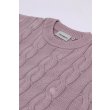Heren Truien & vesten Carhartt WIP CARTER SWEATER.PINK FOG, GD. Direct leverbaar uit de webshop van www.vipshop.nl/.