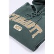 Heren Sweaters Carhartt WIP HOODED LIBRARY SWEAT.CONIFER GD. Direct leverbaar uit de webshop van www.vipshop.nl/.