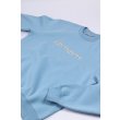 Heren Sweaters Carhartt WIP CARHARTT SWEATSHI.BLUEBIRD / FLEUR. Direct leverbaar uit de webshop van www.vipshop.nl/.
