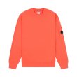 Heren Sweaters CP Company CMSS098A.POINCIANA - 547. Direct leverbaar uit de webshop van www.vipshop.nl/.